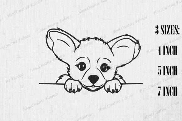 Pembroke Welsh Corgi Peeking Wall Review